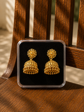 Classic Gold Jhumkas ✨
