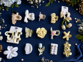 🤍 White Bloom Hair Clip Combo (15 Clips)