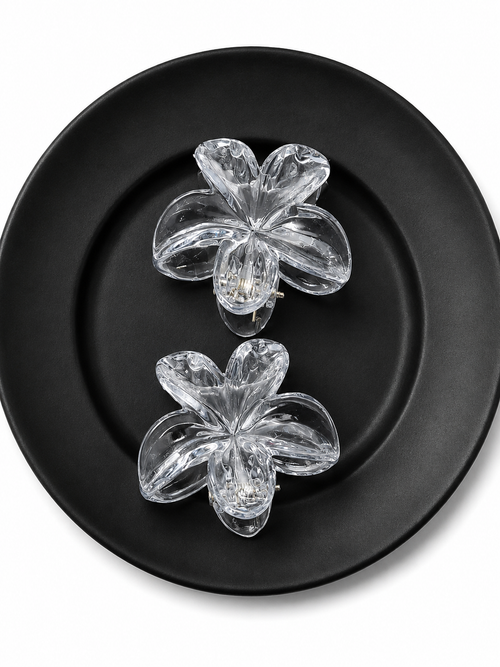 Crystal Bloom Hair Clip Duo (medium)