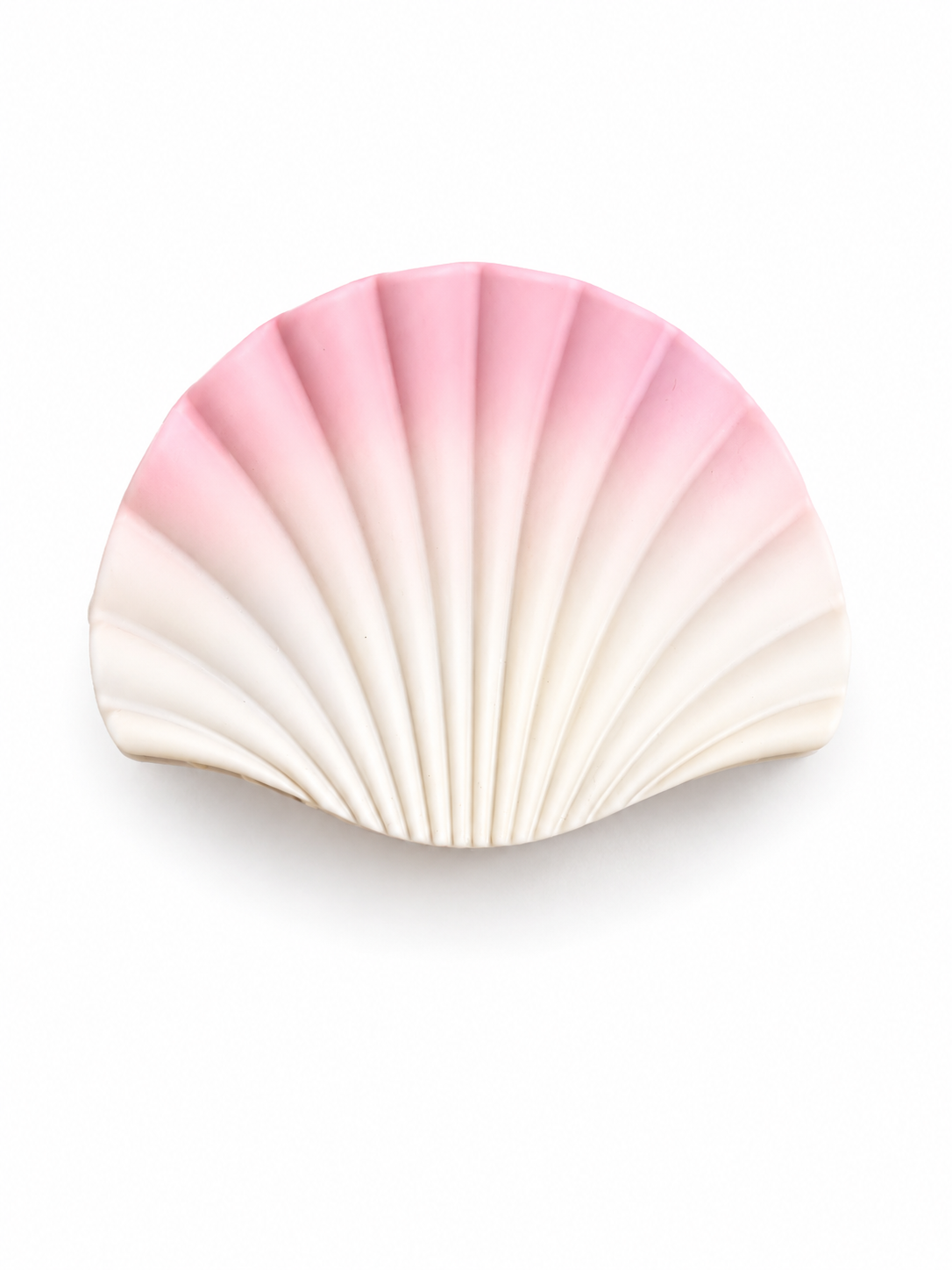 🌸 Pastel Shell Hair Claw Clip