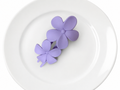 Bloom Petal Hair Clip